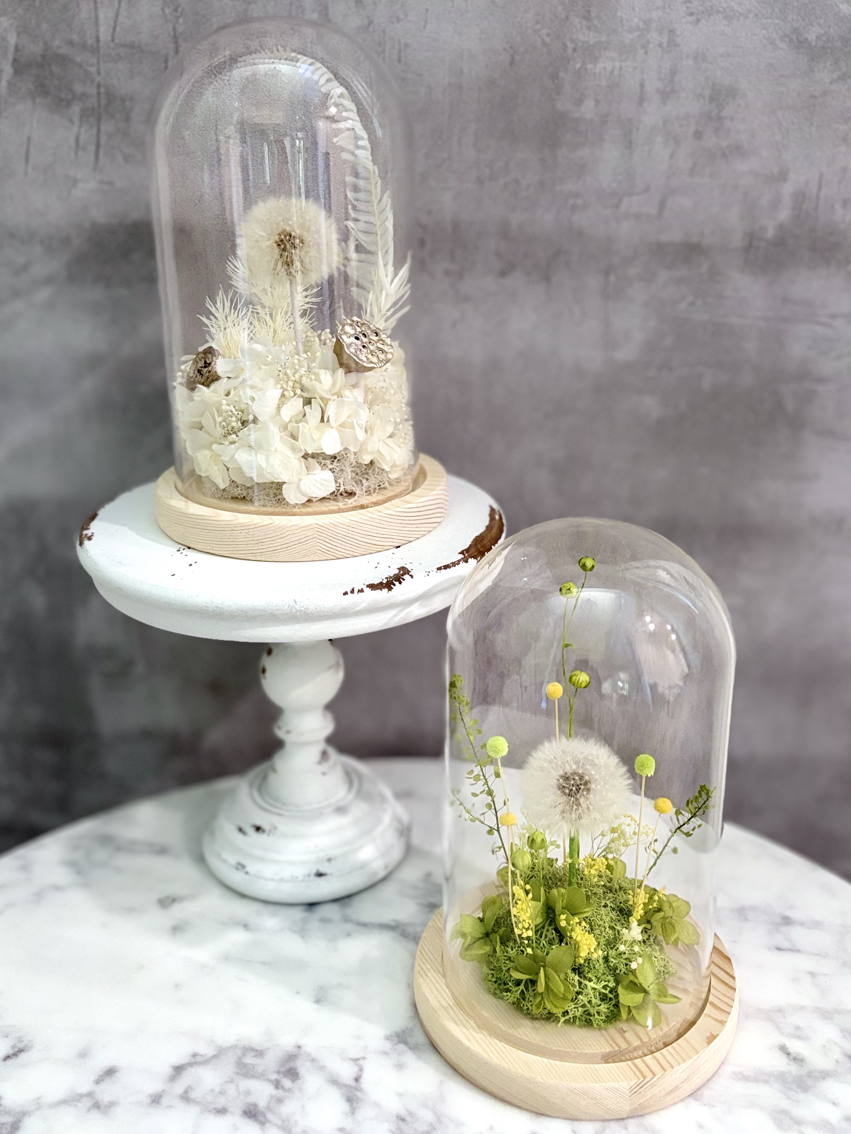 Preserved floral arrangement under a glass dome
